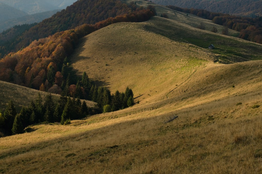 Drumetie de toamna in Muntii&nbsp;Grohotis
