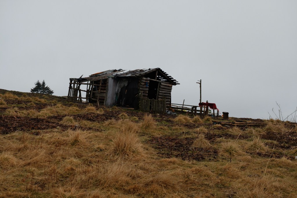 Traseu in Ciucas din&nbsp;Babarunca