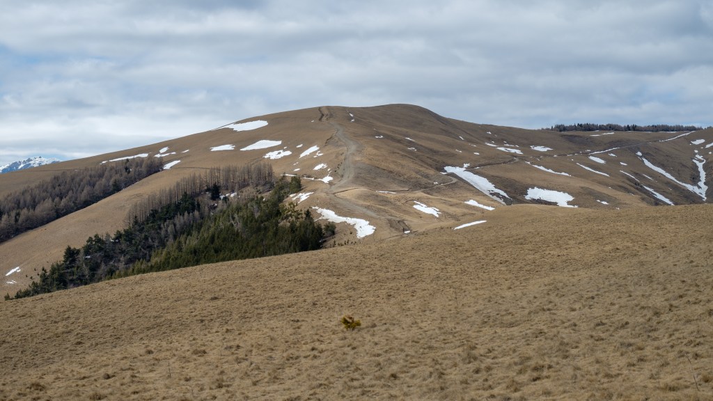 Mtii Baiului – traseu circuit cu plecare din&nbsp;Posada